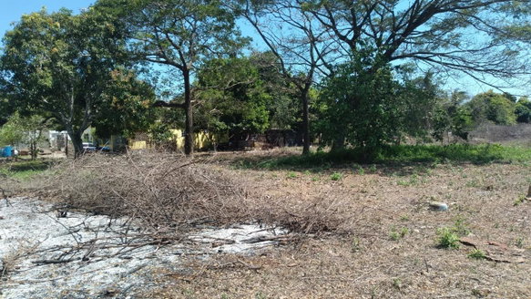 First image of Lot-55 Palmetto Pen in Palmetto Pen, Clarendon, Jamaica - property is For Sale