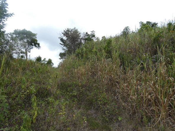 Second image of 22 Marverley Mountain in Red Hills, St. Andrew, Jamaica - property is For Sale