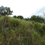 First image of 22 Marverley Mountain in Red Hills, St. Andrew, Jamaica - property is For Sale
