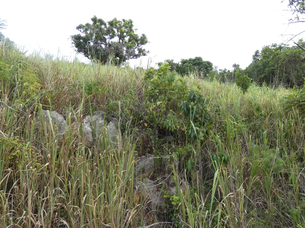 Third image of 22 Marverley Mountain in Red Hills, St. Andrew, Jamaica - property is For Sale