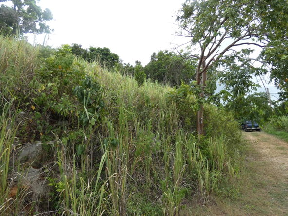 Fourth image of 22 Marverley Mountain in Red Hills, St. Andrew, Jamaica - property is For Sale