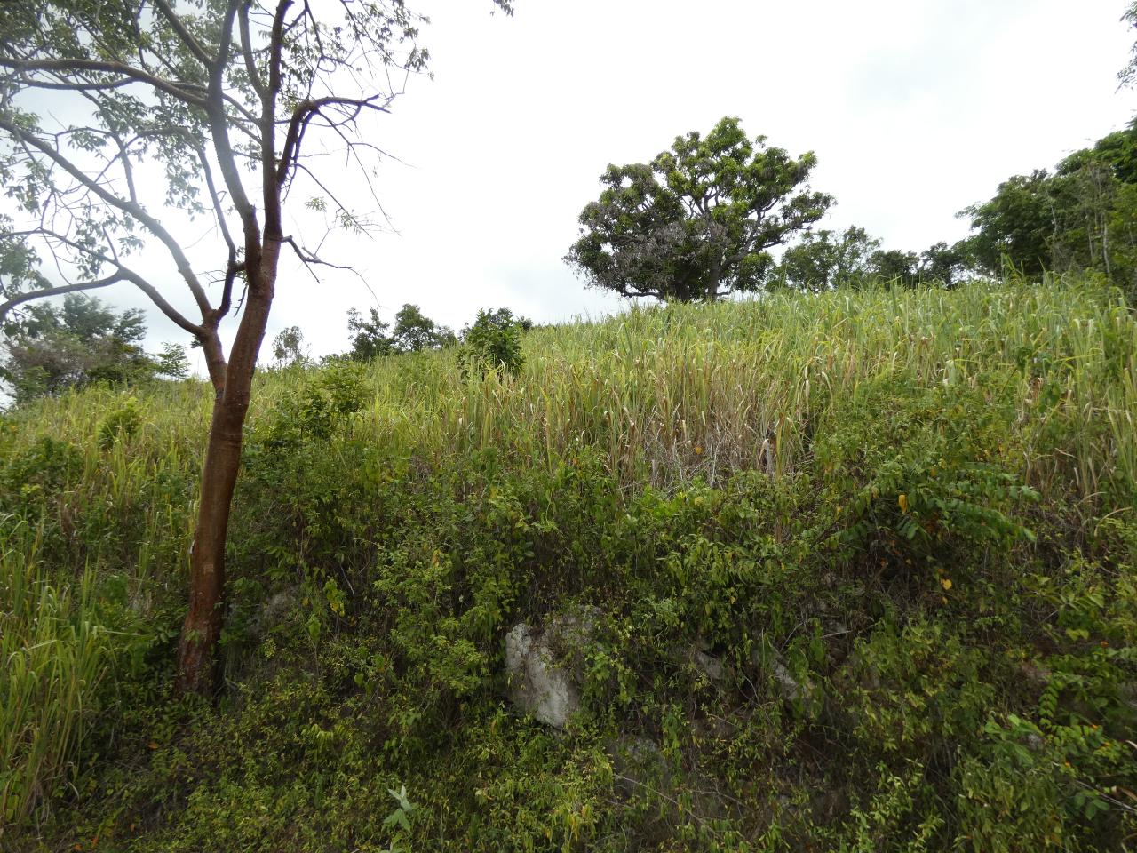 Sixth image of 22 Marverley Mountain in Red Hills, St. Andrew, Jamaica - property is For Sale