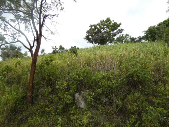 Sixth image of 22 Marverley Mountain in Red Hills, St. Andrew, Jamaica - property is For Sale