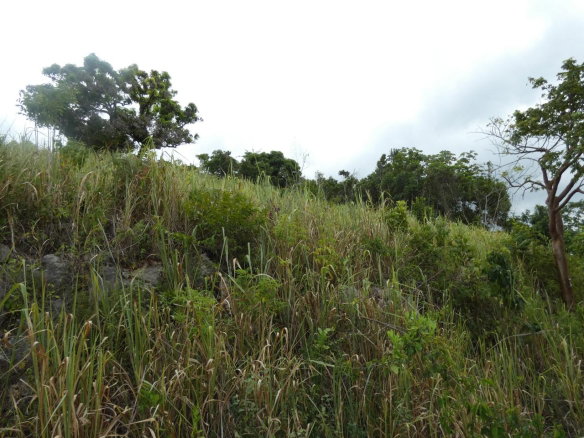 First image of 22 Marverley Mountain in Red Hills, St. Andrew, Jamaica - property is For Sale