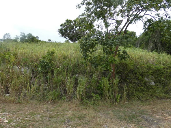 Seventh image of 22 Marverley Mountain in Red Hills, St. Andrew, Jamaica - property is For Sale