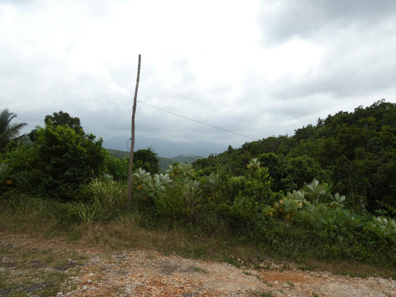 Eighth image of 22 Marverley Mountain in Red Hills, St. Andrew, Jamaica - property is For Sale