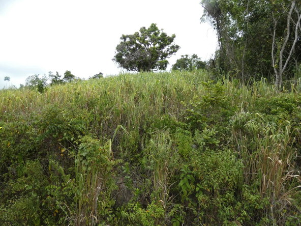 Ninth image of 22 Marverley Mountain in Red Hills, St. Andrew, Jamaica - property is For Sale