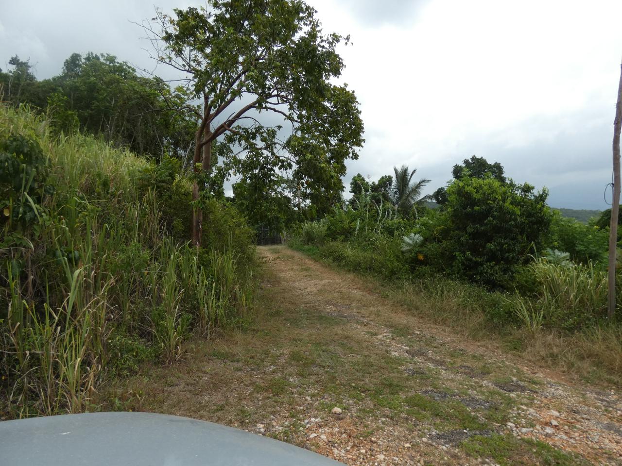 Tenth image of 22 Marverley Mountain in Red Hills, St. Andrew, Jamaica - property is For Sale