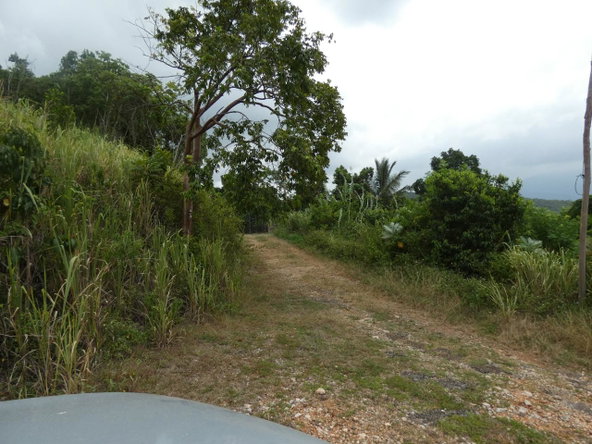 Tenth image of 22 Marverley Mountain in Red Hills, St. Andrew, Jamaica - property is For Sale