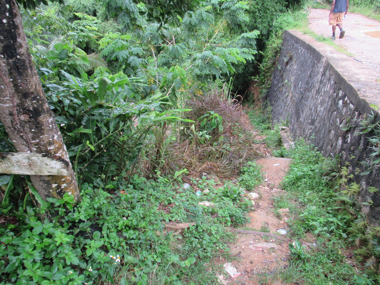 Third image of 2 Clarks Hill, Temple Hall in Clarks Hill, St. Andrew, Jamaica - property is For Sale