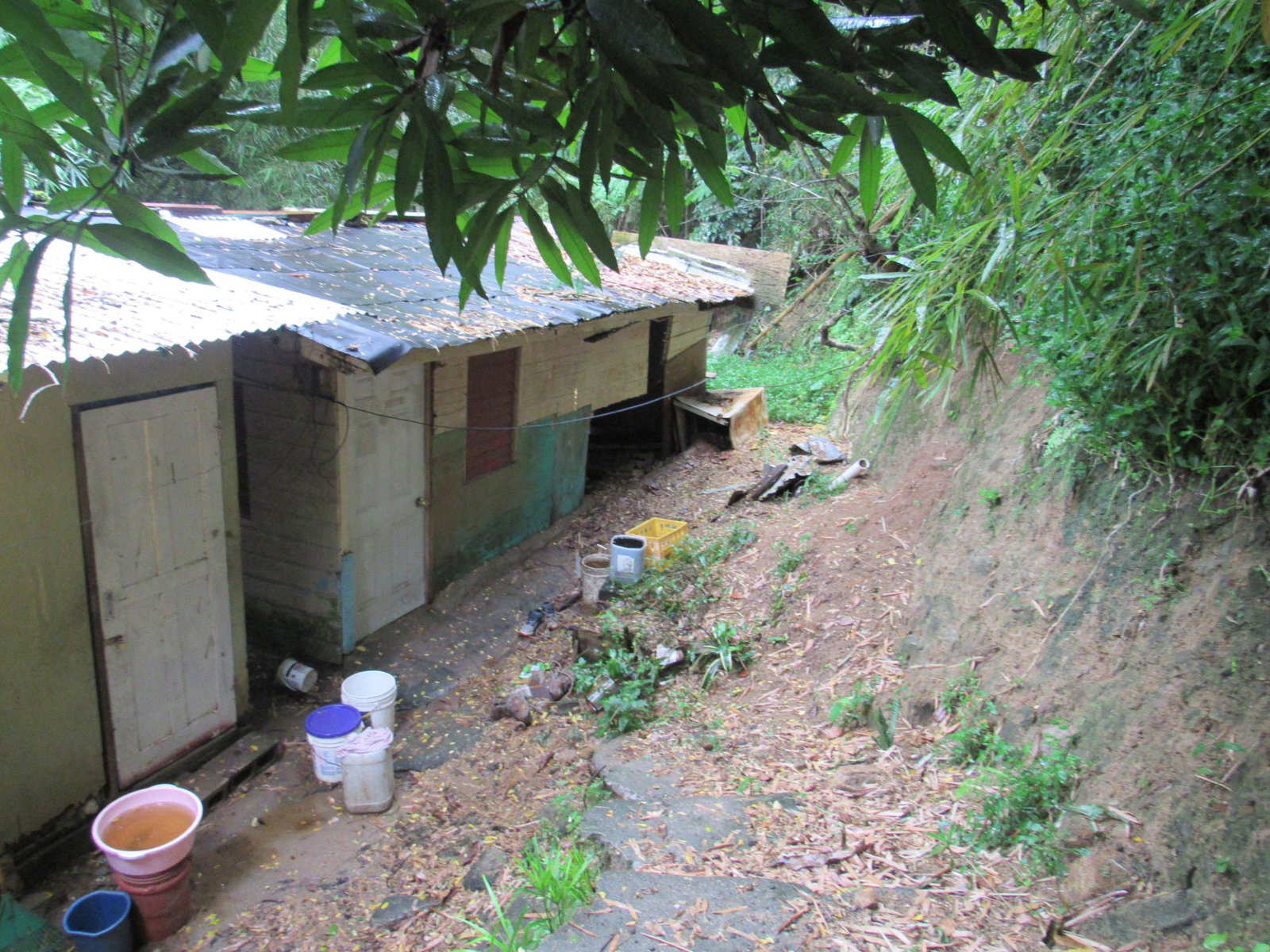 Fourth image of 2 Clarks Hill, Temple Hall in Clarks Hill, St. Andrew, Jamaica - property is For Sale