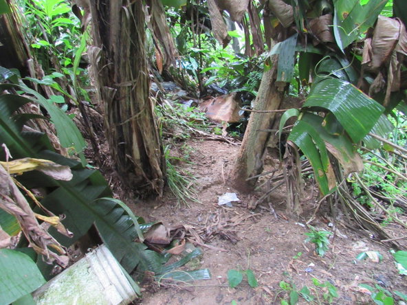 Sixth image of 2 Clarks Hill, Temple Hall in Clarks Hill, St. Andrew, Jamaica - property is For Sale
