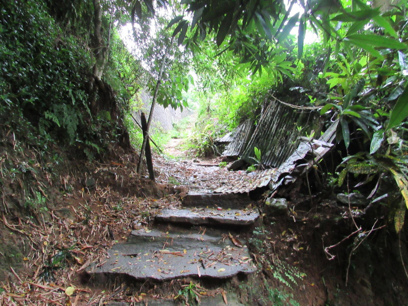 Eighth image of 2 Clarks Hill, Temple Hall in Clarks Hill, St. Andrew, Jamaica - property is For Sale