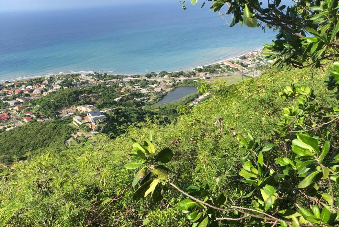 First image of Lot-260 Rest Haven in BULL BAY, St. Andrew, Jamaica - property is For Sale