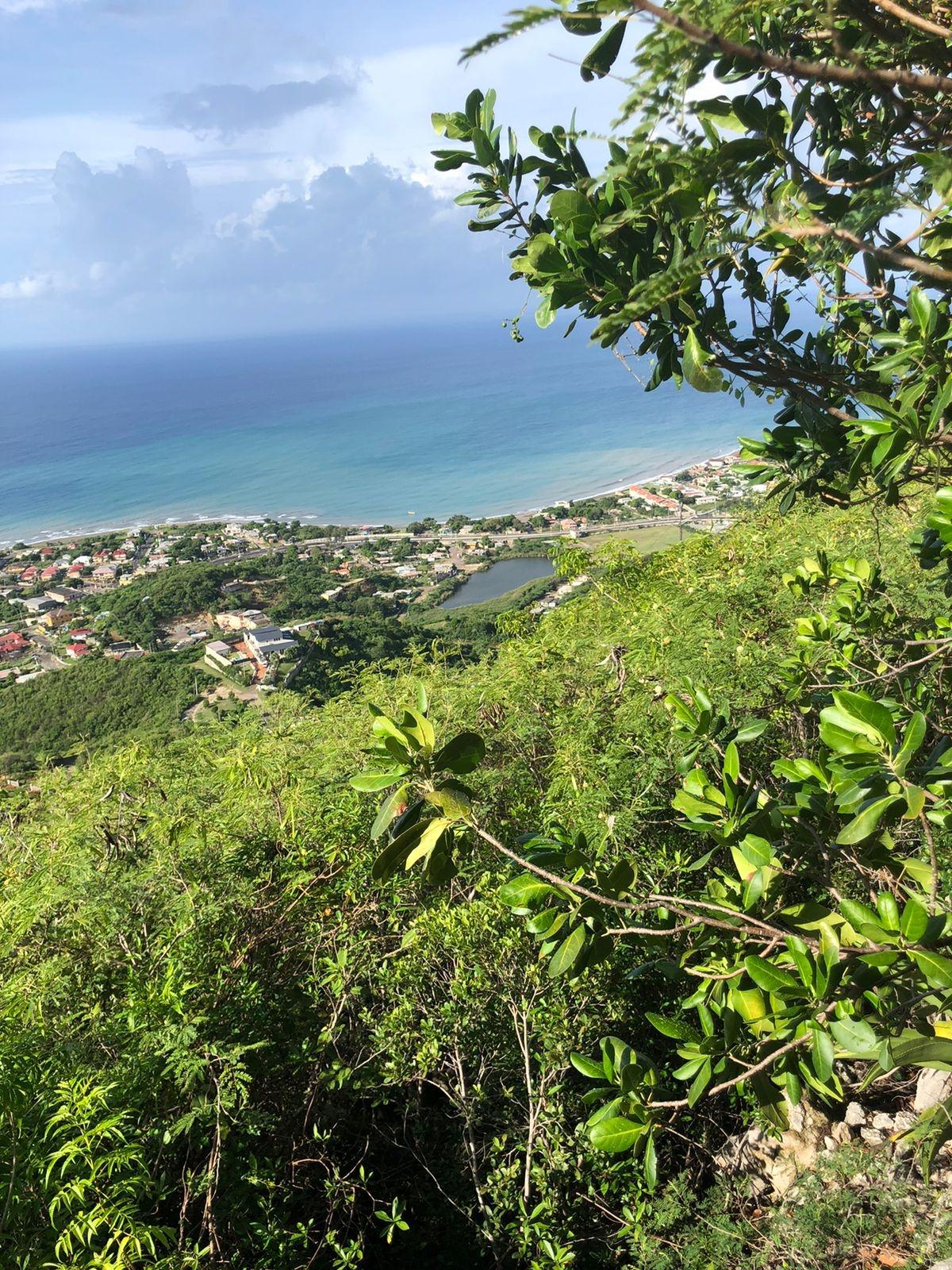 First image of Lot-260 Rest Haven in BULL BAY, St. Andrew, Jamaica - property is For Sale