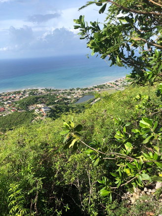First image of Lot-260 Rest Haven in BULL BAY, St. Andrew, Jamaica - property is For Sale