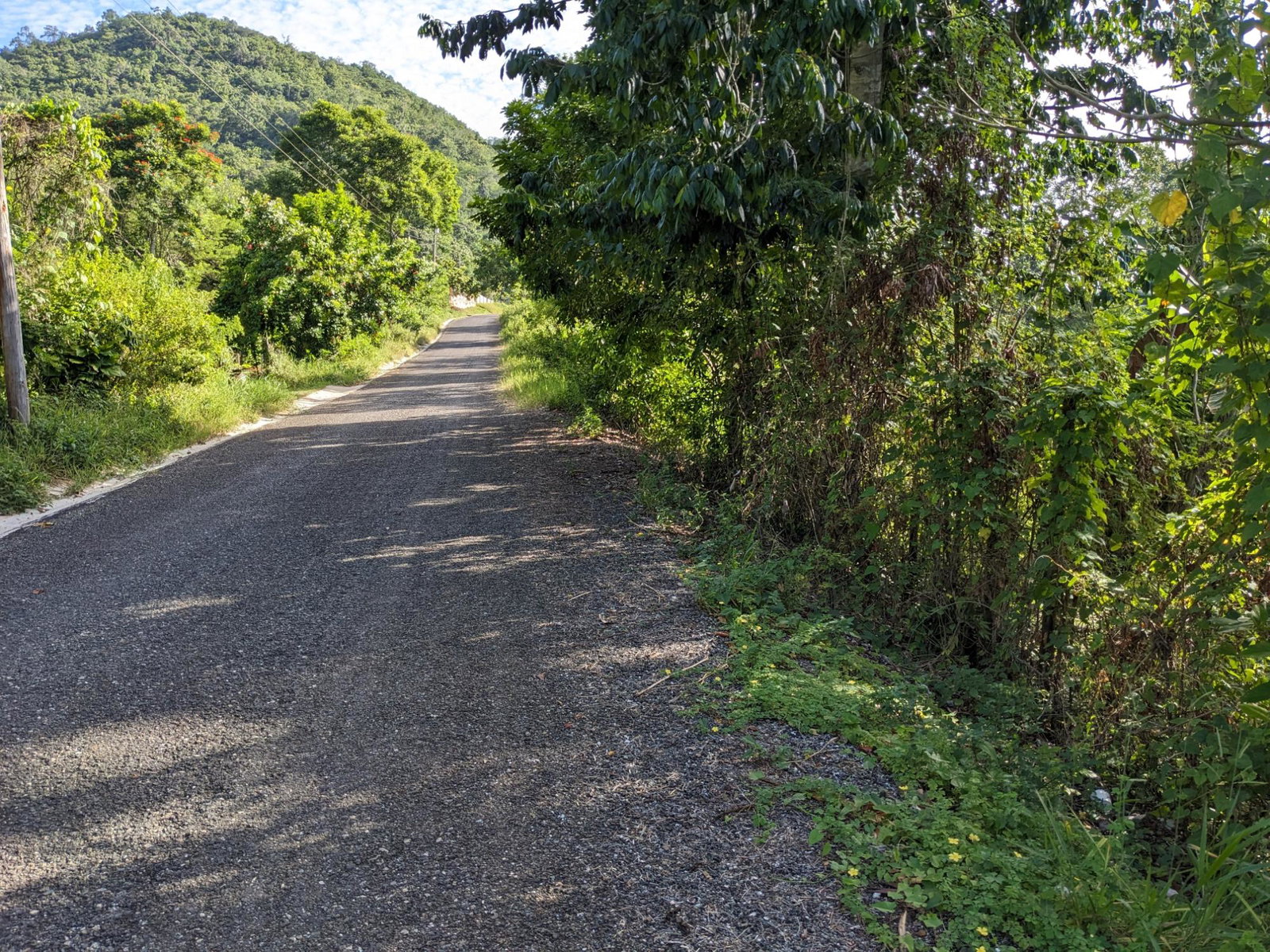 Second image of 172 Grierfield, St. Ann in Moneague, St. Ann, Jamaica - property is For Sale