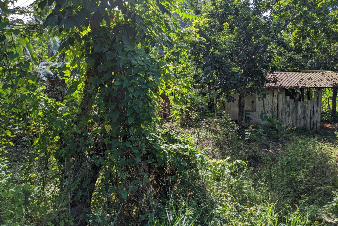 First image of 172 Grierfield, St. Ann in Moneague, St. Ann, Jamaica - property is For Sale