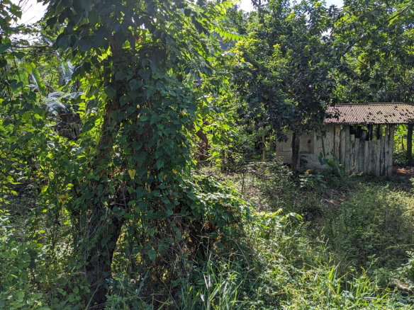 First image of 172 Grierfield, St. Ann in Moneague, St. Ann, Jamaica - property is For Sale