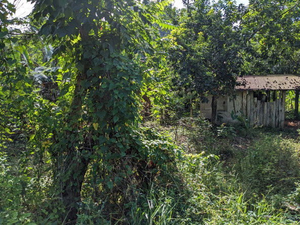 First image of 172 Grierfield, St. Ann in Moneague, St. Ann, Jamaica - property is For Sale