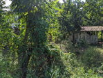 First image of 172 Grierfield, St. Ann in Moneague, St. Ann, Jamaica - property is For Sale