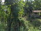 First image of 172 Grierfield, St. Ann in Moneague, St. Ann, Jamaica - property is For Sale