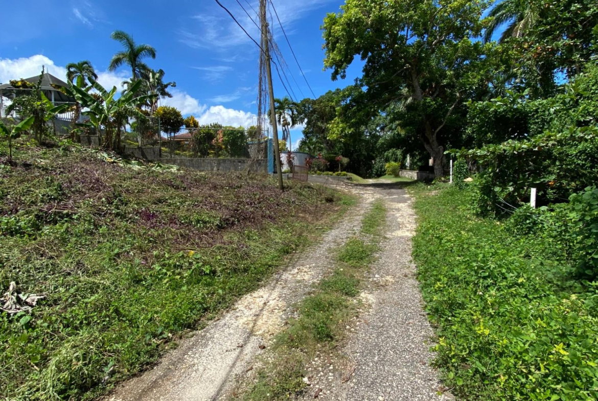 Eleventh image of Lot a Upton in Upton, St. Ann, Jamaica - property is For Sale