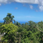 First image of Lot a Upton in Upton, St. Ann, Jamaica - property is For Sale