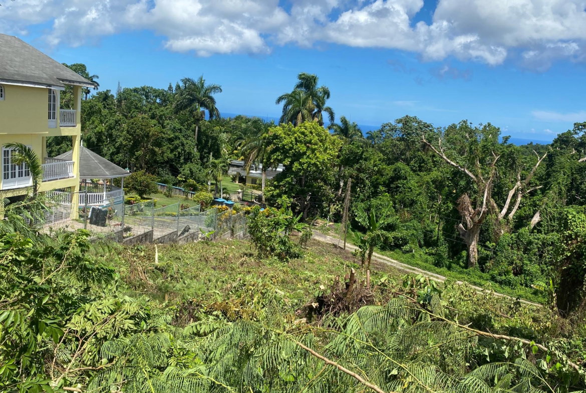 Third image of Lot a Upton in Upton, St. Ann, Jamaica - property is For Sale