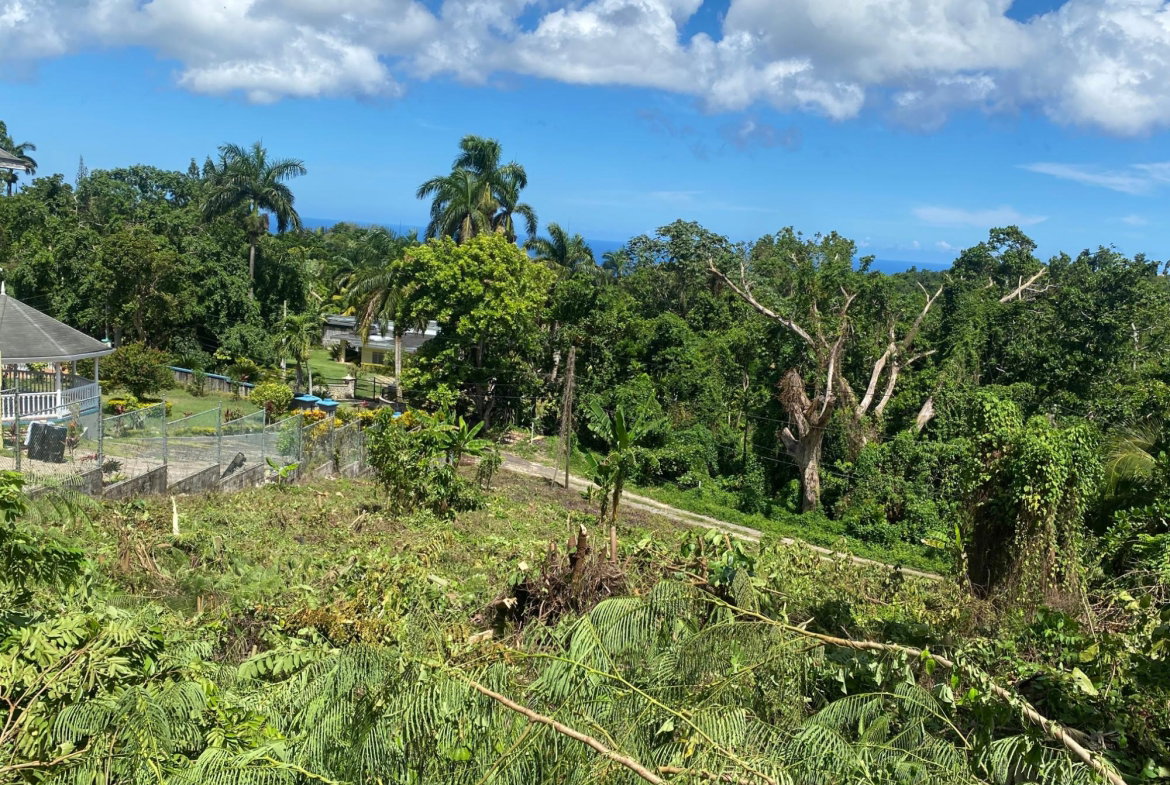 Fourth image of Lot a Upton in Upton, St. Ann, Jamaica - property is For Sale
