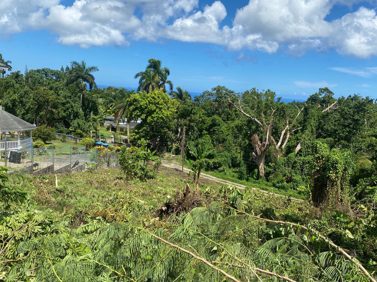 Fourth image of Lot a Upton in Upton, St. Ann, Jamaica - property is For Sale