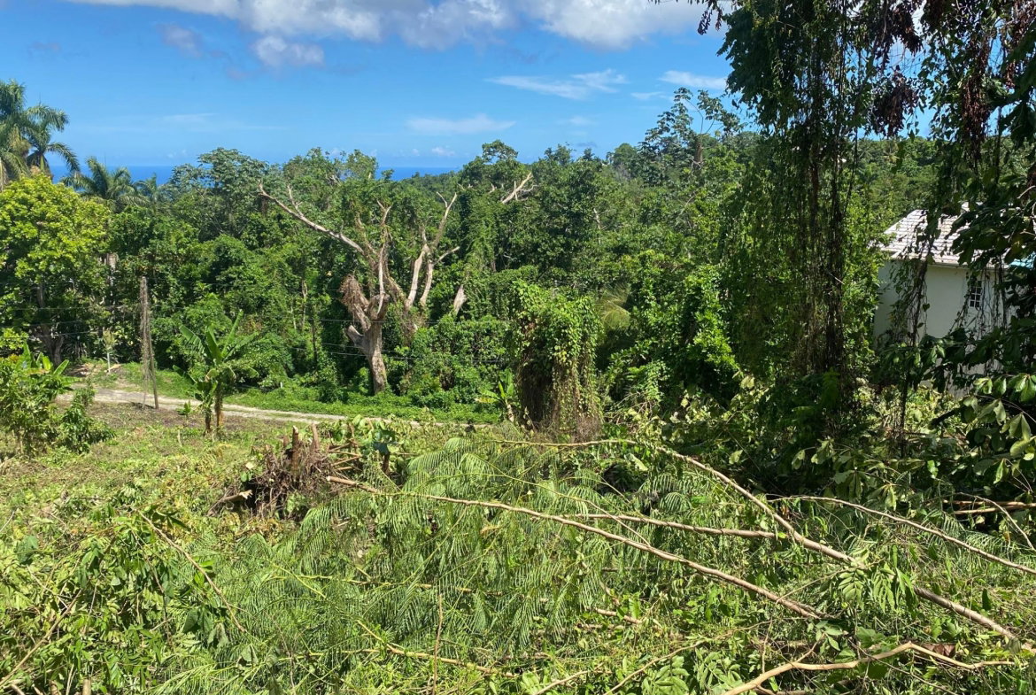 Fifth image of Lot a Upton in Upton, St. Ann, Jamaica - property is For Sale