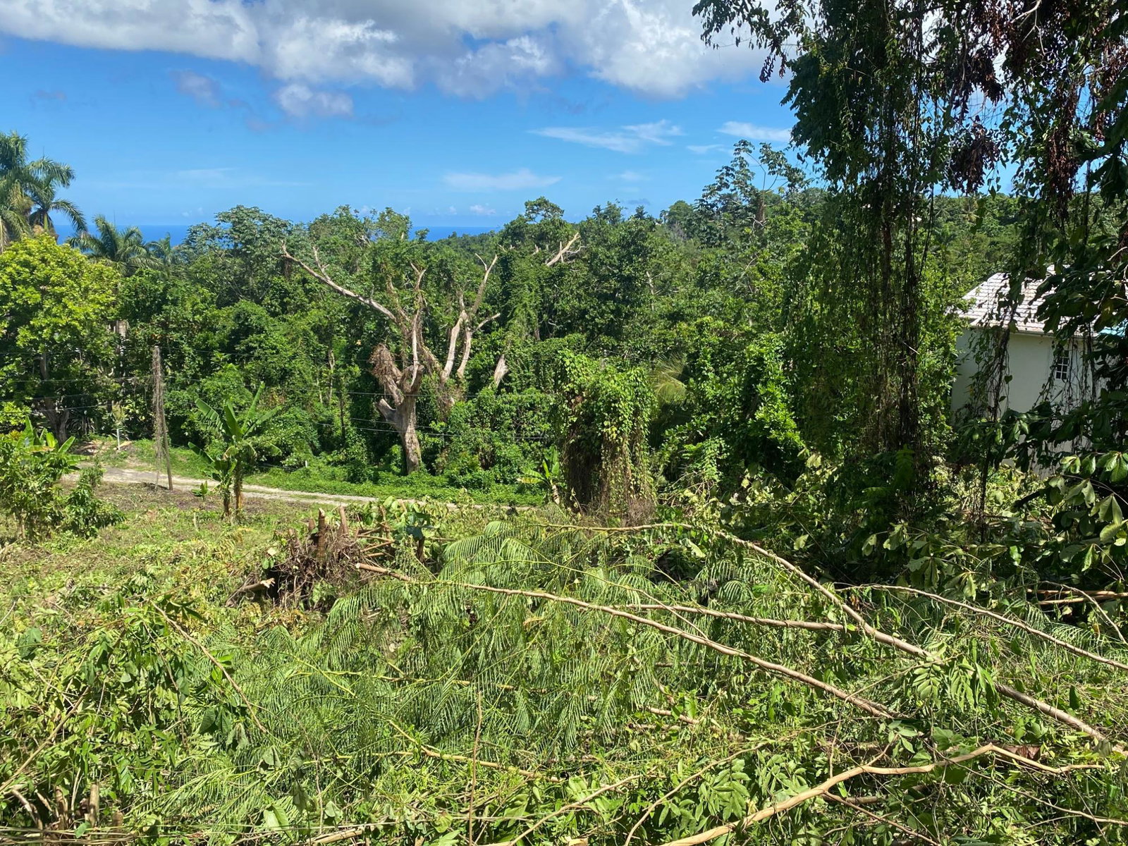 Fifth image of Lot a Upton in Upton, St. Ann, Jamaica - property is For Sale