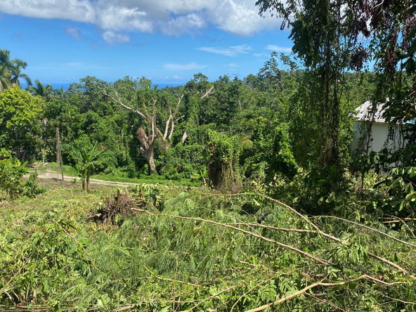 Fifth image of Lot a Upton in Upton, St. Ann, Jamaica - property is For Sale