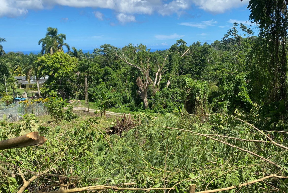 Sixth image of Lot a Upton in Upton, St. Ann, Jamaica - property is For Sale