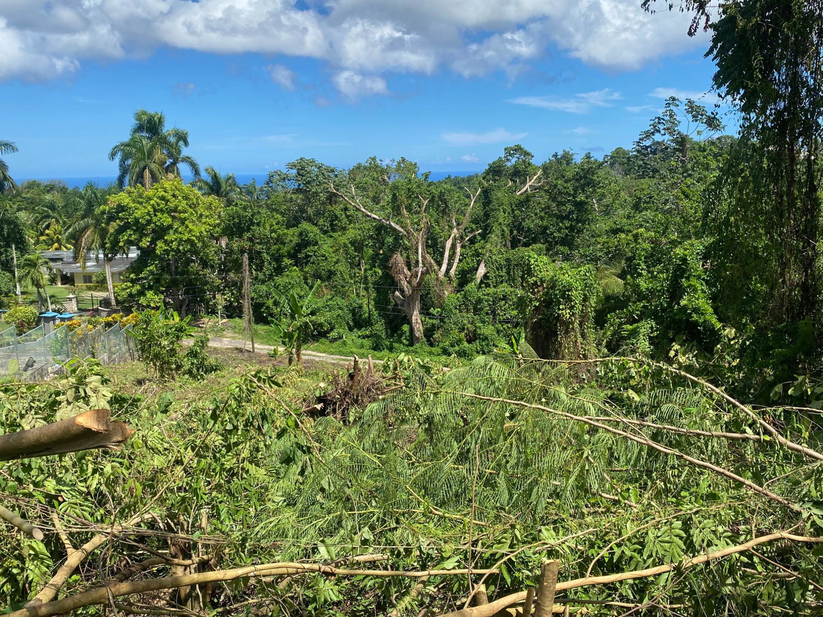Sixth image of Lot a Upton in Upton, St. Ann, Jamaica - property is For Sale