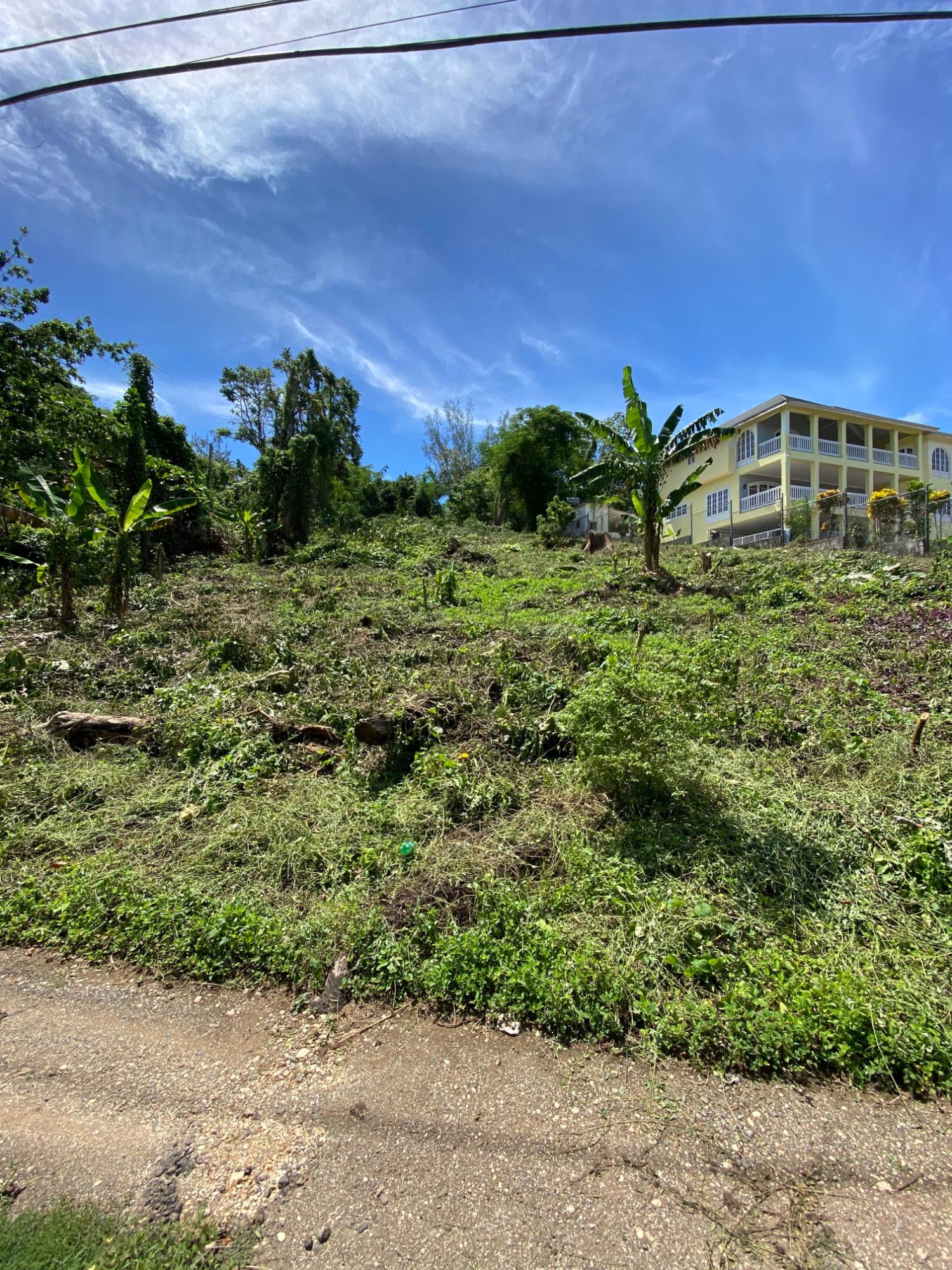 Seventh image of Lot a Upton in Upton, St. Ann, Jamaica - property is For Sale