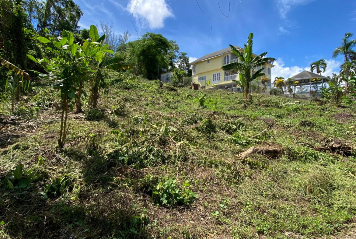 Eighth image of Lot a Upton in Upton, St. Ann, Jamaica - property is For Sale