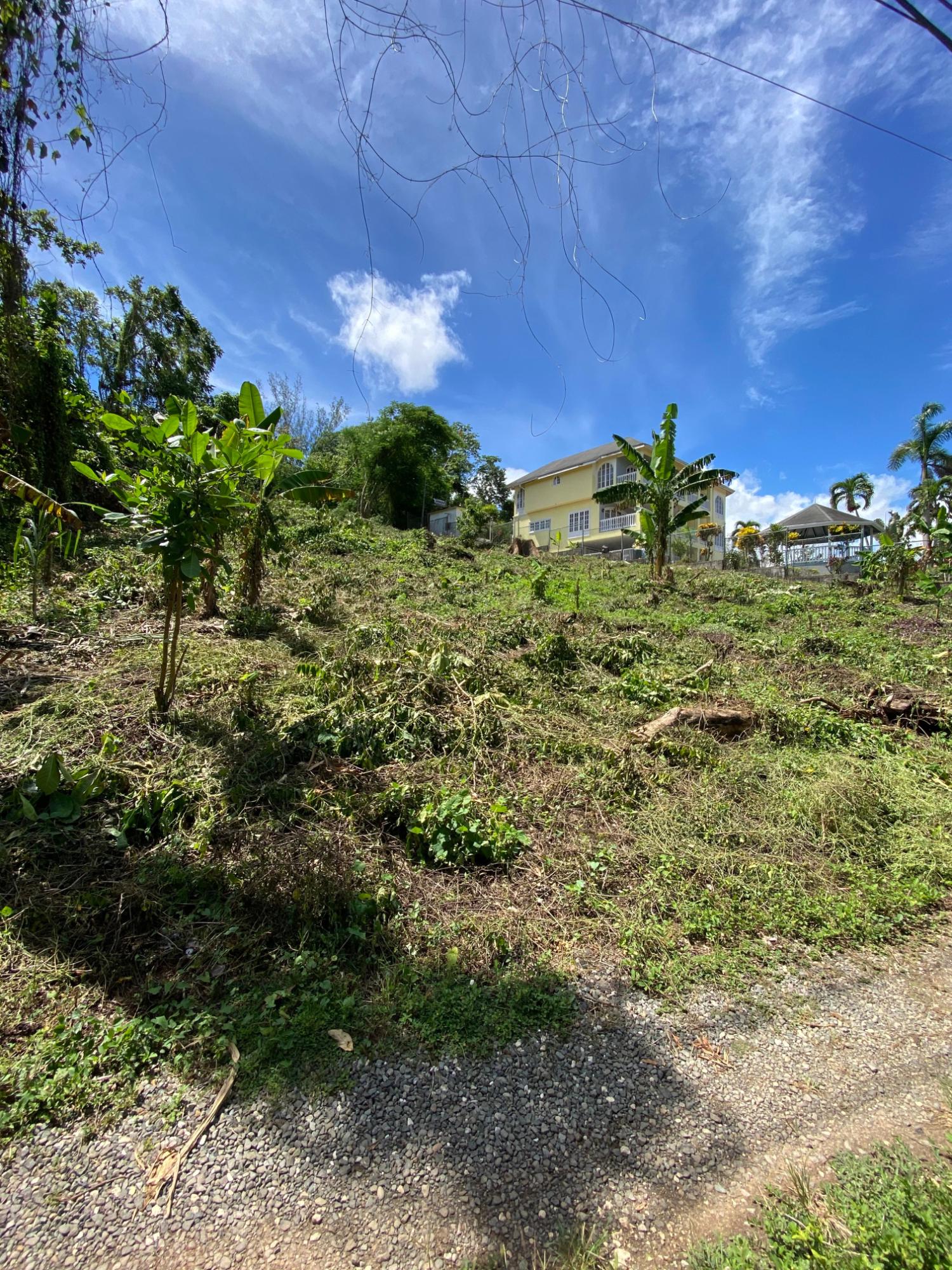 Eighth image of Lot a Upton in Upton, St. Ann, Jamaica - property is For Sale