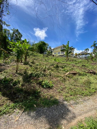 Eighth image of Lot a Upton in Upton, St. Ann, Jamaica - property is For Sale