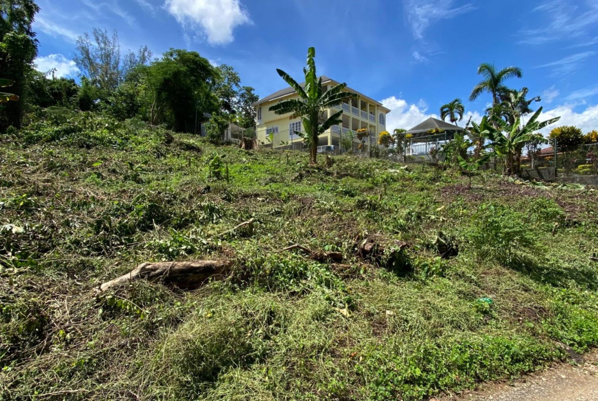 Ninth image of Lot a Upton in Upton, St. Ann, Jamaica - property is For Sale