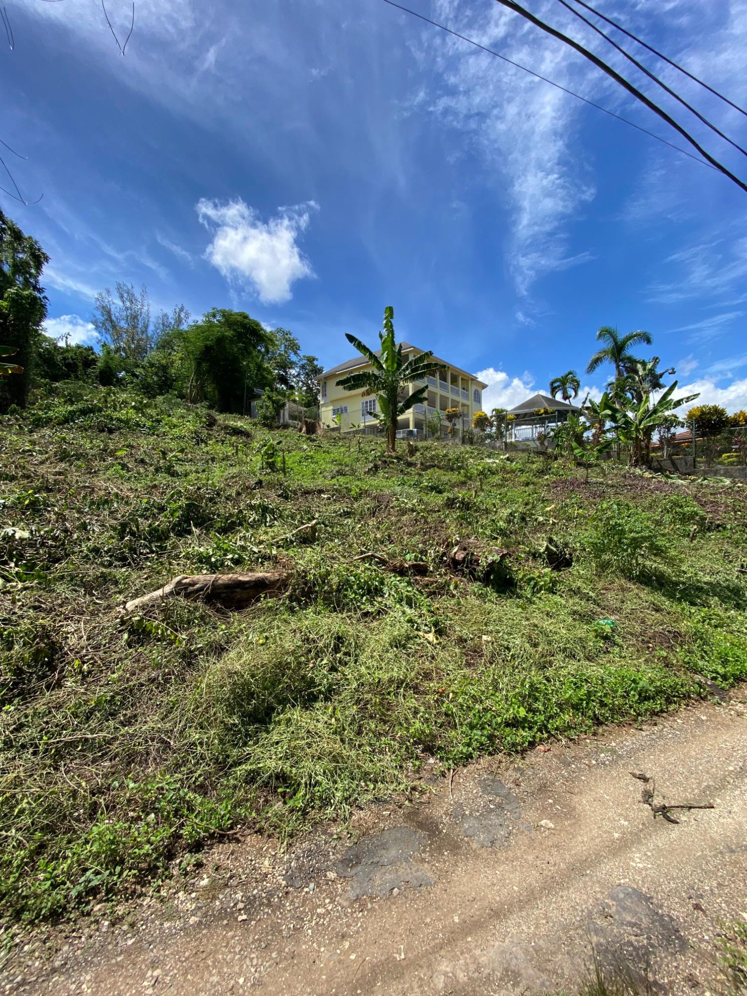 Ninth image of Lot a Upton in Upton, St. Ann, Jamaica - property is For Sale