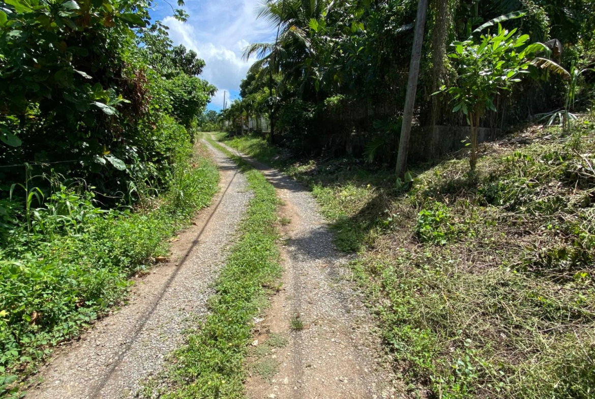 Tenth image of Lot a Upton in Upton, St. Ann, Jamaica - property is For Sale