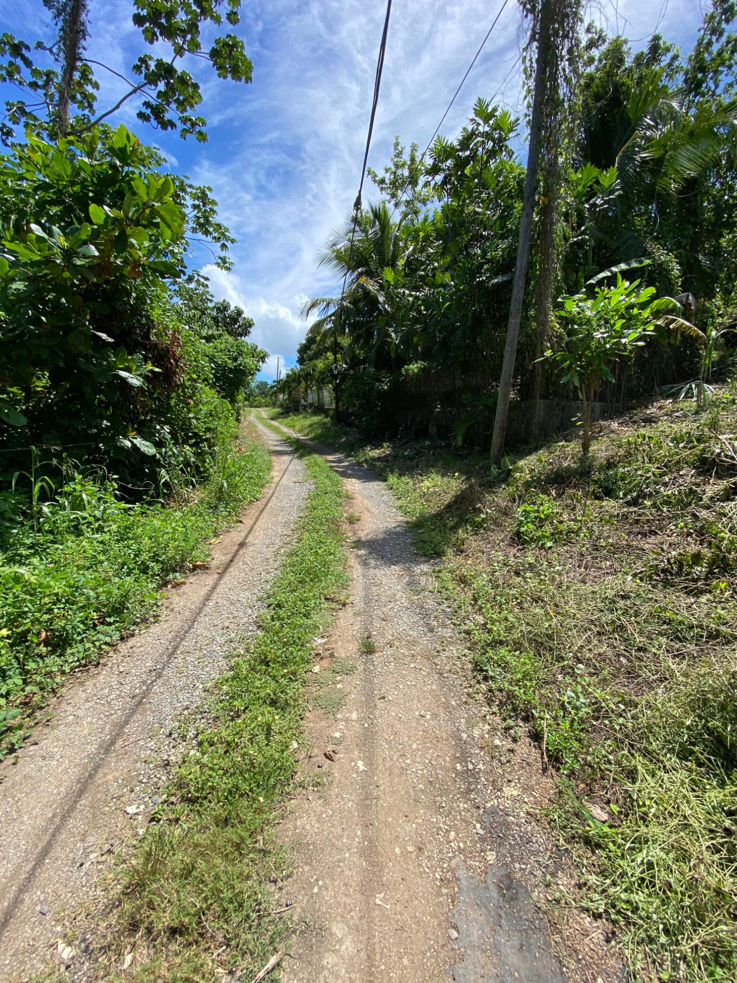 Tenth image of Lot a Upton in Upton, St. Ann, Jamaica - property is For Sale
