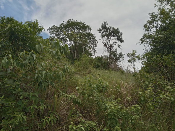 Thirteenth image of Welcome, Alexandria St. a in Alexandria, St. Ann, Jamaica - property is For Sale
