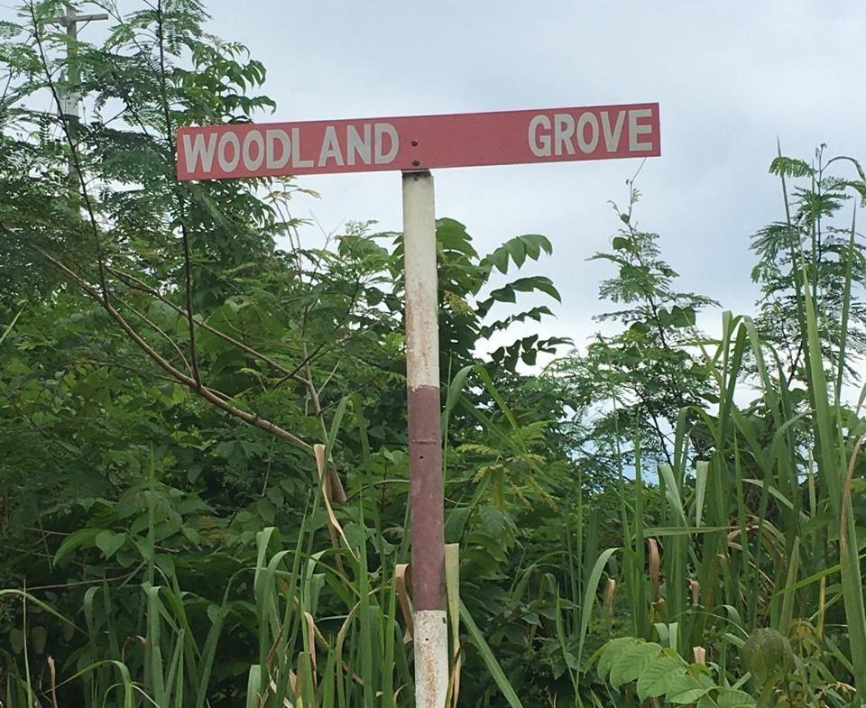 Third image of Lot 18 Woodlands Grove in Red Hills, St. Andrew, Jamaica - property is For Sale