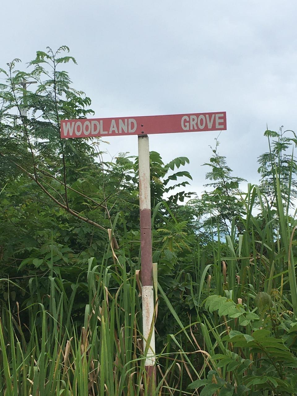 Third image of Lot 18 Woodlands Grove in Red Hills, St. Andrew, Jamaica - property is For Sale