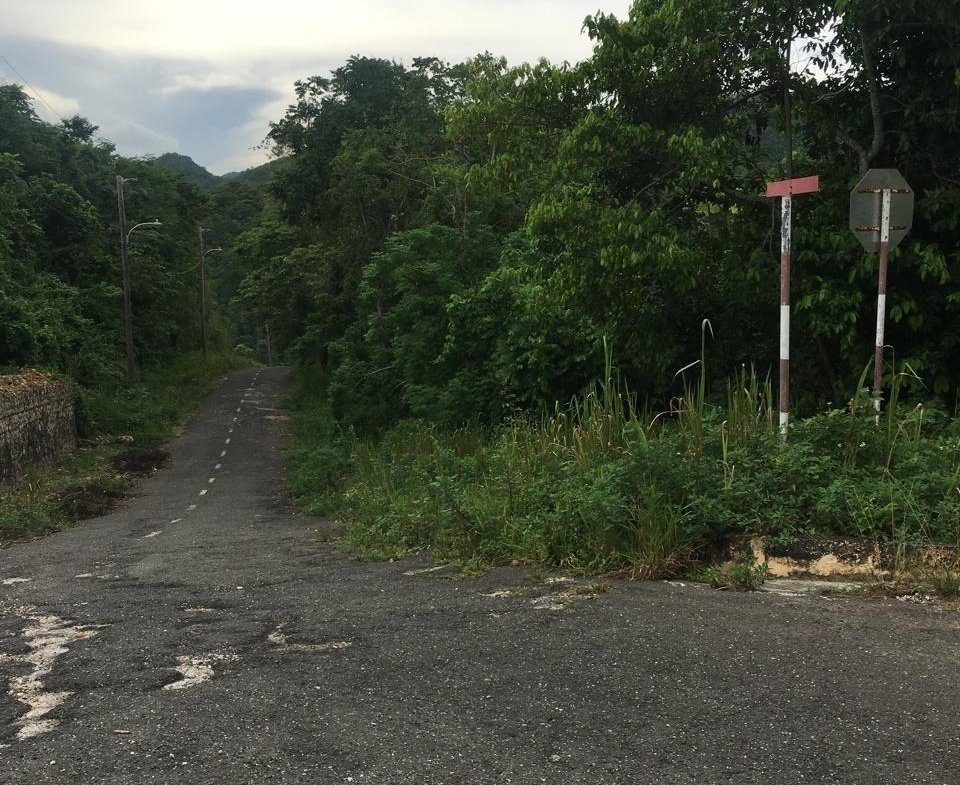 Fourth image of Lot 18 Woodlands Grove in Red Hills, St. Andrew, Jamaica - property is For Sale