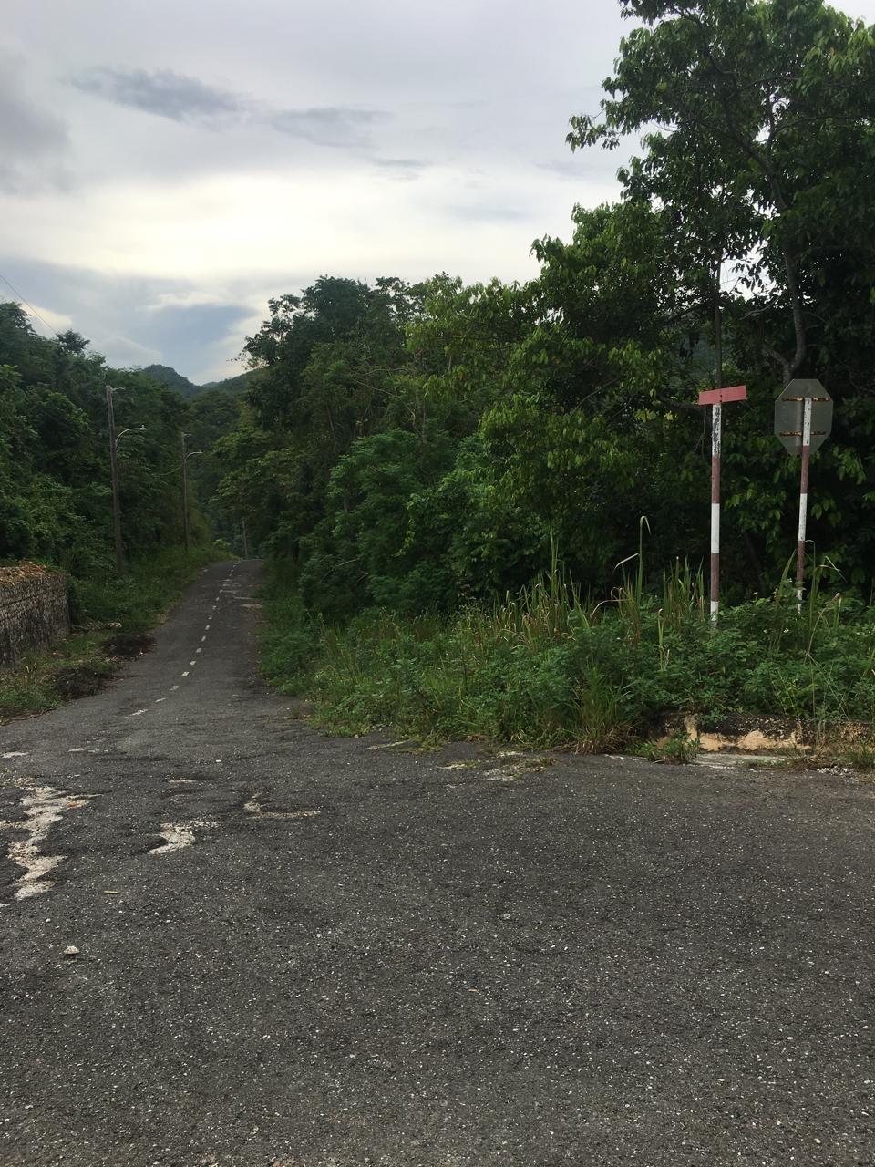 Fourth image of Lot 18 Woodlands Grove in Red Hills, St. Andrew, Jamaica - property is For Sale