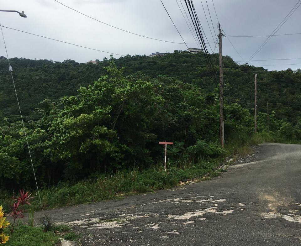 Fifth image of Lot 18 Woodlands Grove in Red Hills, St. Andrew, Jamaica - property is For Sale